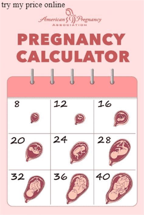 online pregnancy test calculator